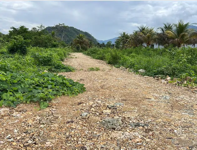 Acceso al proyecto